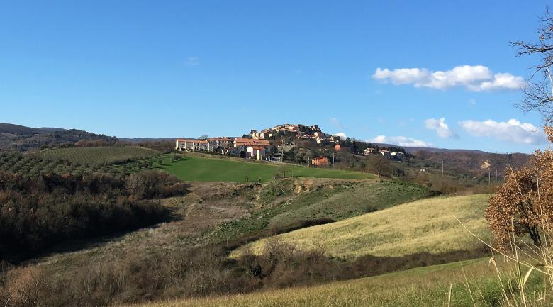 Titolo: The Meana Forest 